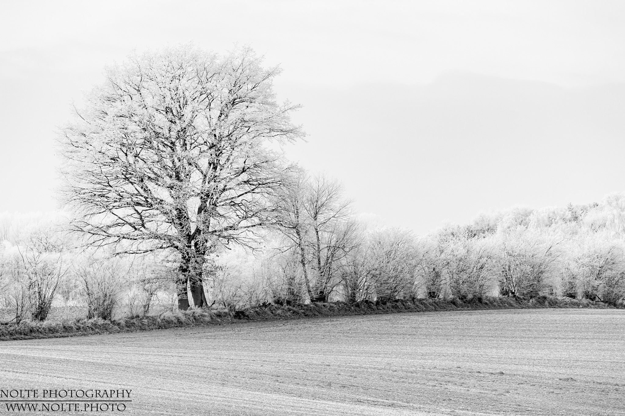 Eisiger Acker in High Key-Umwanndlung